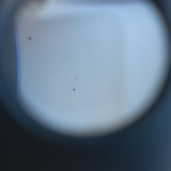 Renault Aracında Paslanmaların Olması Pas Ve Kortizon 6yıl Garantili