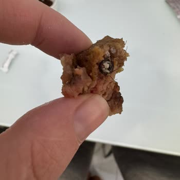 Köfteci Yusuf'un Köftelerinden Kıl Yumağı Çıktı