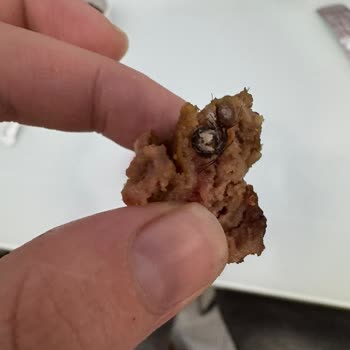 Köfteci Yusuf'un Köftelerinden Kıl Yumağı Çıktı