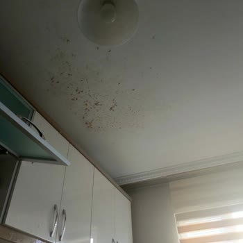 Karaca Züccaciye Karaca Düdüklü Patladı