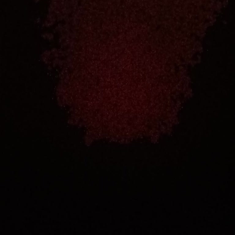 Netcity İnternet Hiç Çekmiyor Sorunu Düzeltilmesini İstiyorum