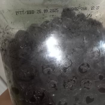 A101 Deki Tukaş Boyalı Ve Bozuk Zeytin