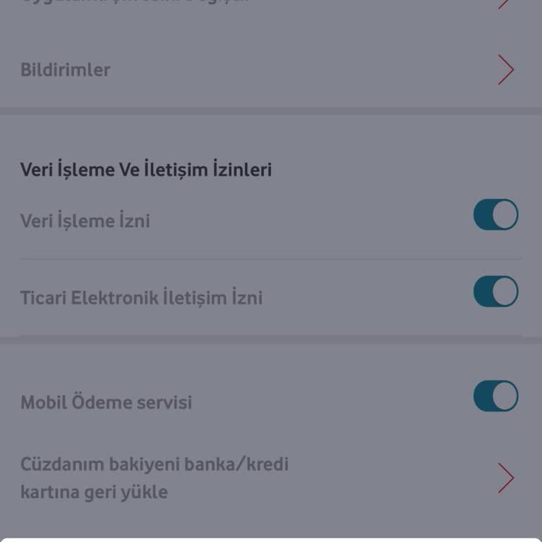 Vodafone Pay Para Çekme Sorunu