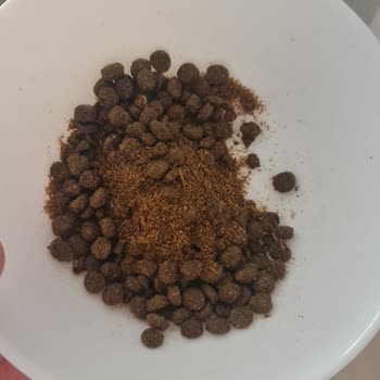 Farmina - N&D Mama Bozuk Mama Ve Ağır Koku: Yılların Güvenini Sarsan Deneyim