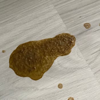 Farmina - N&D Mama Bozuk Mama Ve Ağır Koku: Yılların Güvenini Sarsan Deneyim