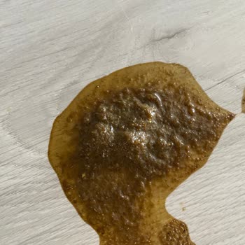 Farmina - N&D Mama Bozuk Mama Ve Ağır Koku: Yılların Güvenini Sarsan Deneyim