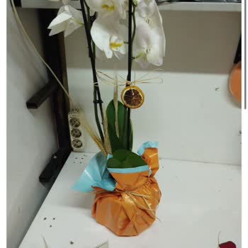 Çiçek Sepeti Seçilen Ve Gönderilen Çiçek Farkı Mağduriyeti