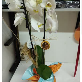 Çiçek Sepeti Seçilen Ve Gönderilen Çiçek Farkı Mağduriyeti