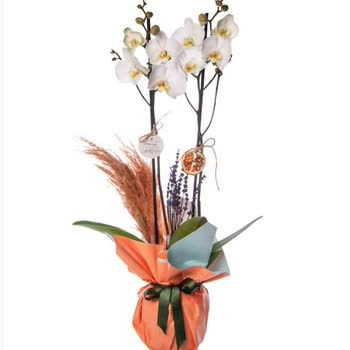 Çiçek Sepeti Seçilen Ve Gönderilen Çiçek Farkı Mağduriyeti