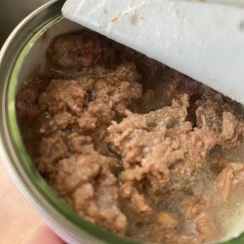Disappointed with Farmina N&D Fish Wet Food