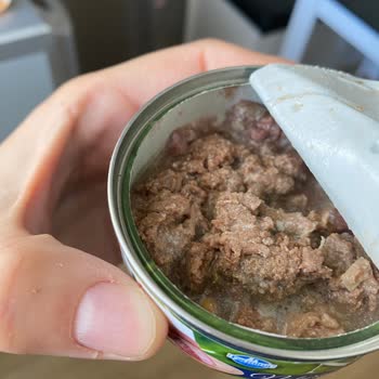 Disappointed with Farmina N&D Fish Wet Food