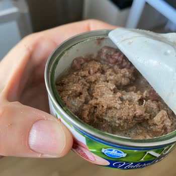 Disappointed with Farmina N&D Fish Wet Food