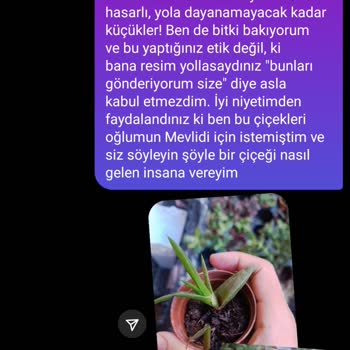 Fidan Pazarı Mağduriyet Ve Şikayet