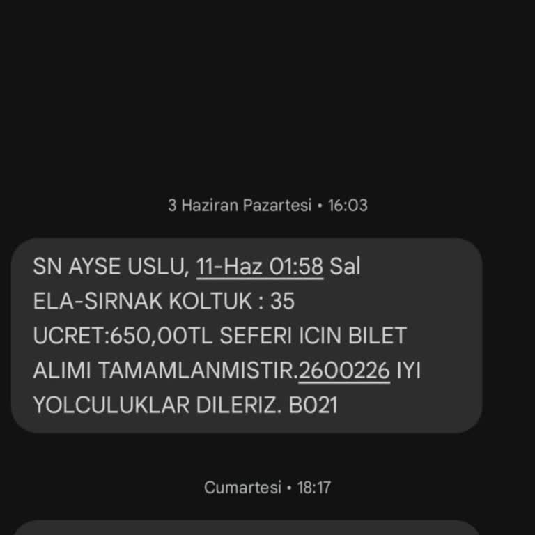 Enuygun.com Cizre İtimat Firmasının Yolcu Mağduriyeti: Saatlerce Bekleyiş Ve İletişim Sorunu