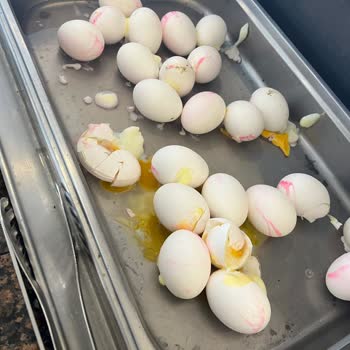 Euphoria Hotels Europia Balm Beac Hayal Kırıklığı