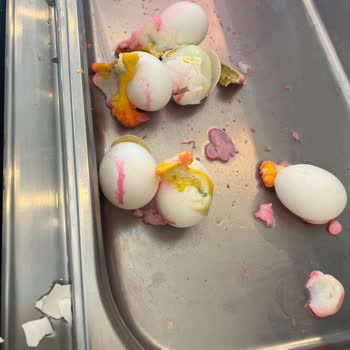 Euphoria Hotels Europia Balm Beac Hayal Kırıklığı