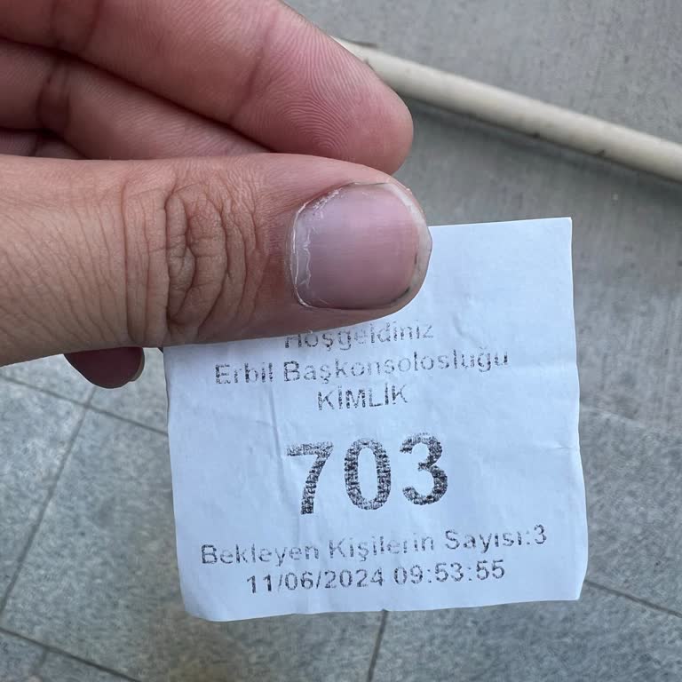 Dışişleri Bakanlığı Erbil Konsolosluğunda Sorun