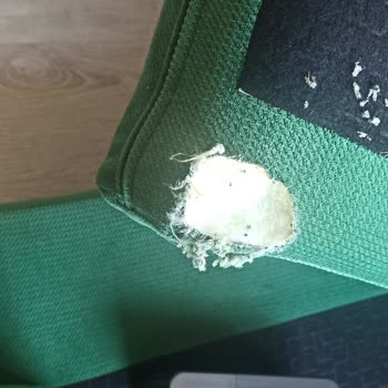 Doğtaş İle Yaşanan Eşsiz Deneyim