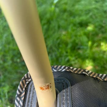 Decathlon Paslanan Kamp Sandalyesi