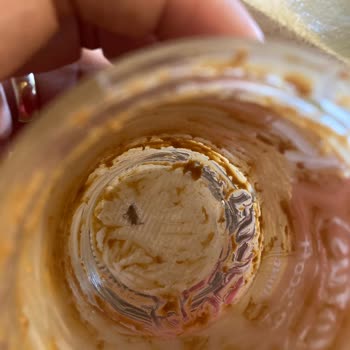 Lotus Biscoff Kavanozunun Altındaki Böcek!