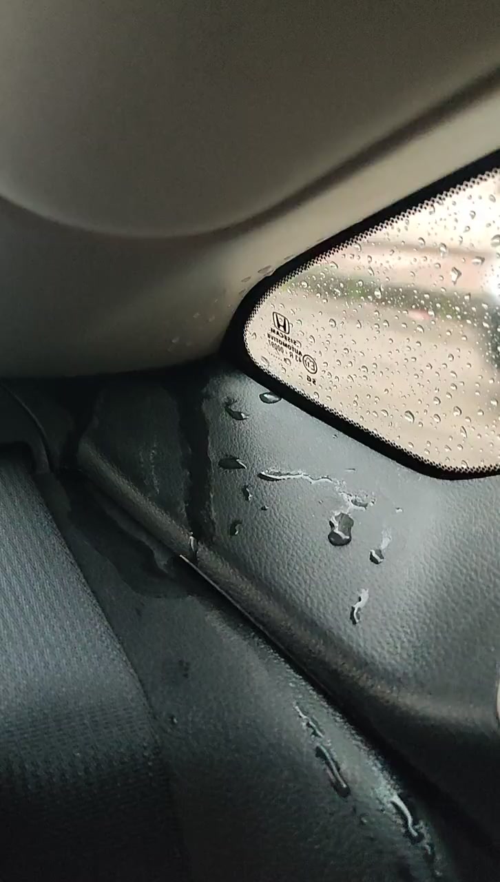 My Honda Civic Keeps Experiencing Continual Paint Problems video cover