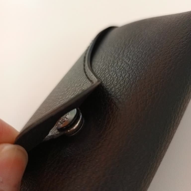 Ray Ban Kılıf