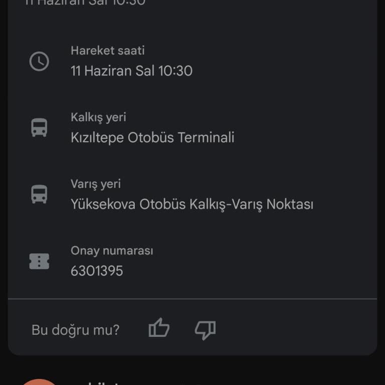 Best Van Turizm Otobüs Terminalinde En Az 3 Saat Bekletilmesi Ve Aracın Gelmemesi