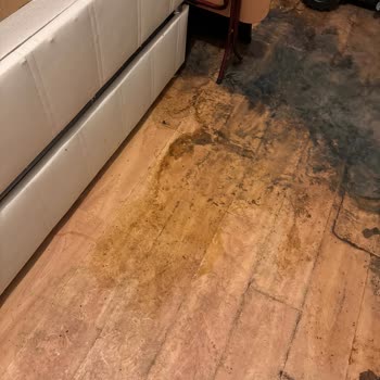 Çevre, Şehircilik Ve İklim Değişikliği Bakanlığı Fabrika Sorunu