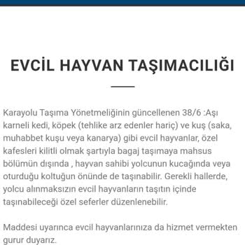 Kontur Muavinleri Kedimi Zorla Bagaja Koydurmaya Çalıştı Tehdit Aldım