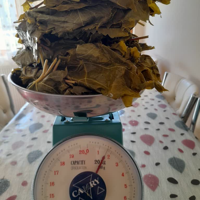 Yasmin Doğal (ege_salamur_) Cevap Vermiyor