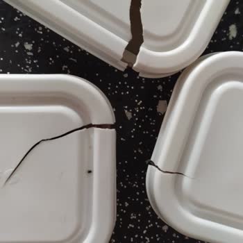 Paşabahçe Saklama Kaplarının Kapakları Dayanmıyor