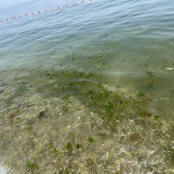 Kumsal Beach Fotoğraflarında Gösterdiği Gibi Değildi