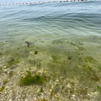 Kumsal Beach Fotoğraflarında Gösterdiği Gibi Değildi