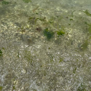 Kumsal Beach Fotoğraflarında Gösterdiği Gibi Değildi
