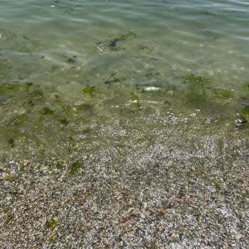 Kumsal Beach Fotoğraflarında Gösterdiği Gibi Değildi