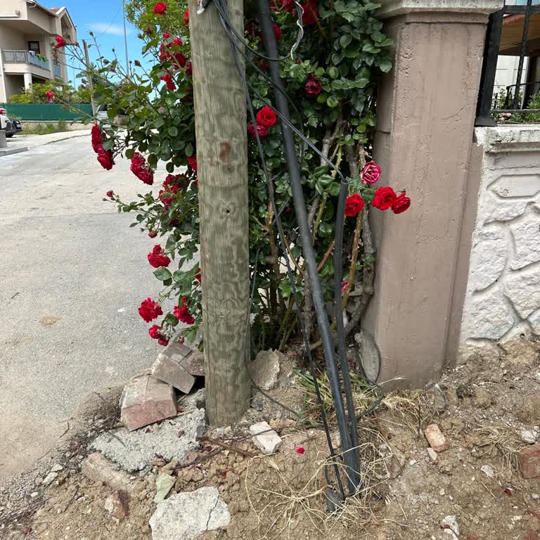 Türk Telekom Telekom Altyapı Hattında Arıza Giderilmiyor