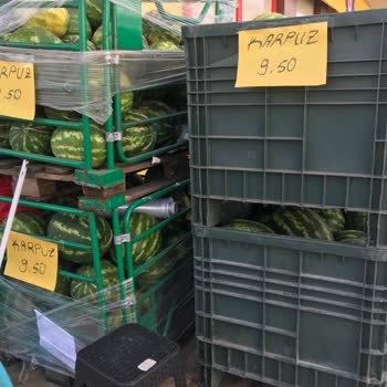 Şok Marketler Şok Marketten Karpuz Almak İçin Kemiklerimizi Mi Kırmak Gerek
