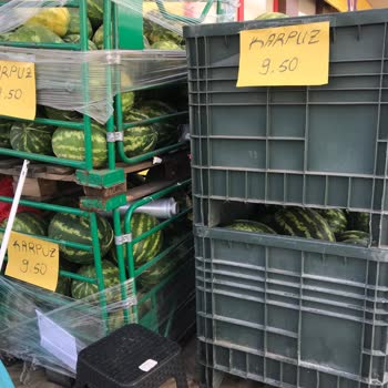 Şok Marketler Şok Marketten Karpuz Almak İçin Kemiklerimizi Mi Kırmak Gerek