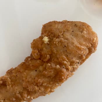 Sinek Yumurtası Larvası Çıktı Arcadıum KFC