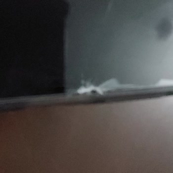 Realme Cep Telefonu Pişmanlık Tır İnsanları Aldatıyorlar