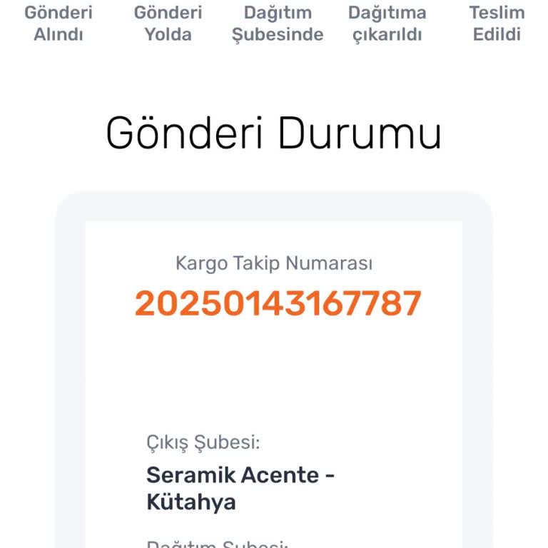 Sürat Kargo Adrese Teslim Etmeyeceğim Kargoyu Neden Alıyorsun