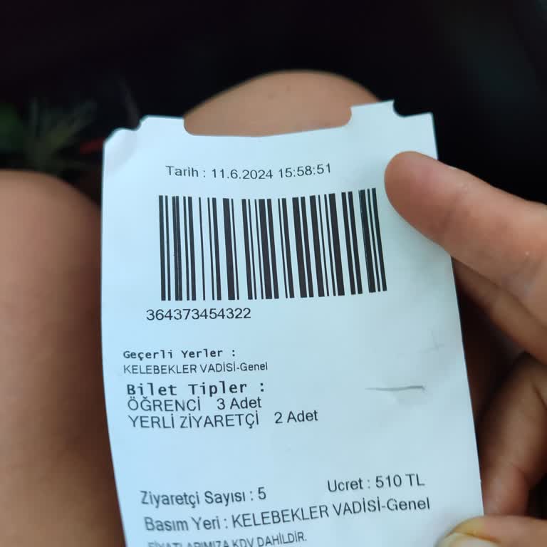 Kelebekler Vadisi Konya Tropikal Kelebek Vadisi