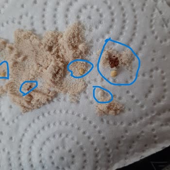 HIQ Nutrition Hiq Protein Tozu Açılmış Jelatin Ve İçindeki Madde