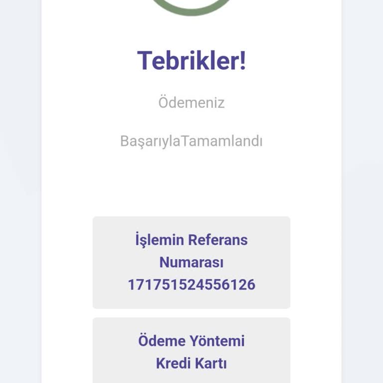 Telfence Sürgülü Bahçe Kapısı