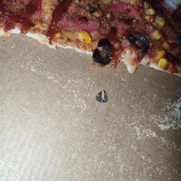 Domino's Pizza İçin Diş Dolgusu