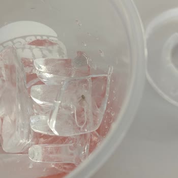 Burger King Gıda Ürününden Böcek Çıkması