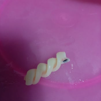 Mutlu Markasının Ürettiği Harras Makarnadan Çıkan Yabancı Maddeler!