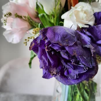 Tazecicek.com Dan Alınan Çiçek