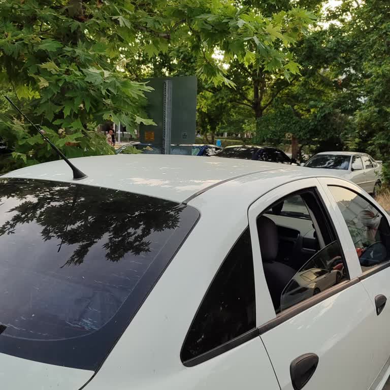 Uludağ Üniversitesi Park Yerinde Tabela Sorunu