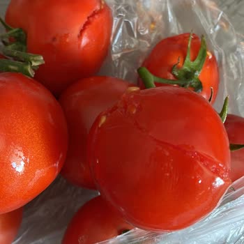 Migros Müşteri Memnuniyetsizlik Hattı